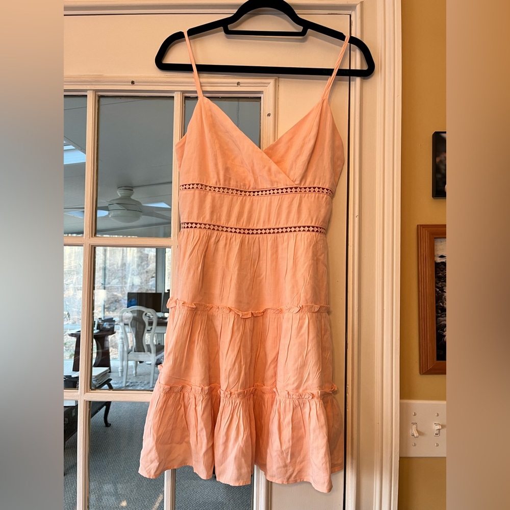 Francesca’s pink lined dress